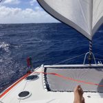 Endlich wieder entspanntes Segeln!