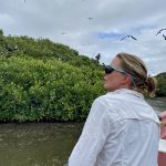 Bei den Fregattvögeln