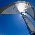 Ausblick aus dem Netz