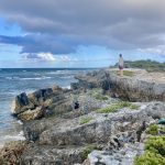 An der Ostküste Barbudas