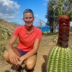 Die Kakteen sind nicht gerade klein