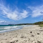 Wandern unter Palmen