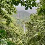 Die Wasserfälle von Carbet