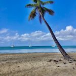 Angekommen in der Karibik!