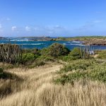 Raue Landschaft im Süden Martiniques