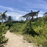 Abwechslungsreiches Wandern