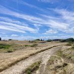 Immer schön Querfeldein