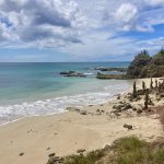 Einsamer Karibikstrand