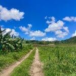 Auf dem Weg zur Destillerie