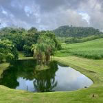 Blick auf die Zuckerrohrfelder
