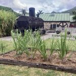 Das alte Gelände der Destillerie