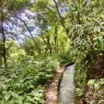 Der alte Bewässerungskanal