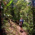 Es gibt viel zu gucken