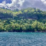 Ankern vor einer Palmenwand