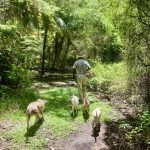 Unterwegs mit dem Gärtner