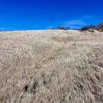 Ende der Trockenzeit...