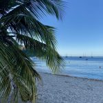 Am Strand von Anse-d`Arlet