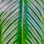 Faszination Symmetrie