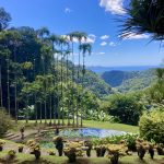 Ausblick über den Garten