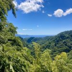 Ausblick auf die Bucht von Fort-de-France