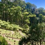 Blick vom Baumwipfelpfad