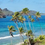 Palmentupfer auf Petite Nevis