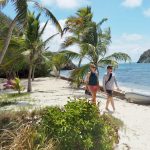 Spaziegang unter Palmen