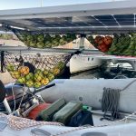 Die Obstnetze sind voll...