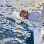 Delfine sind einfach immer wieder toll