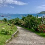 Die Hauptstrasse von Petite Martinique