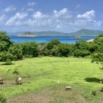 Blick auf Carriacou