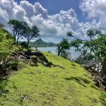 Im Süden Carriacous