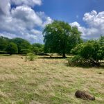 Unterwegs im Süden von Carriacou