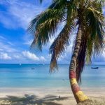 Am Strand von Hillsborough