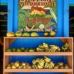 Im Gemüseladen von Hillsborough....