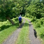 Unterwegs mit Hund im Norden Carriacous