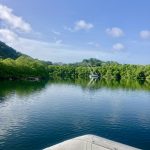 Auf Entdeckungstour in den Mangroven
