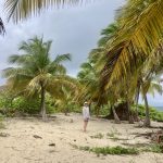 Palmen auf Sandy Island