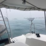 Tropischer Regenschauer