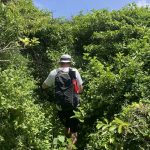 Wo ist hier bloß der Weg?