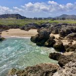 wilde Landschaft auf Bonaire