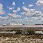 die Salinen von Bonaire