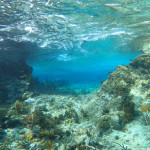 Schnorcheln in den Ragged Islands