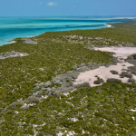 Hog Cay aus der Luft