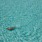 herrliches Baden!