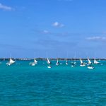 Regatta Start
