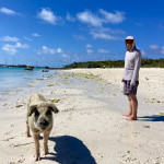 auf der Suche nach Essen...