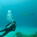 besser auf Abstand bleiben