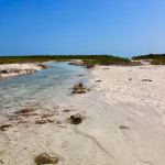 Flusswanderung auf Compass Cay
