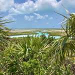 im Dickicht von Shroud Cay